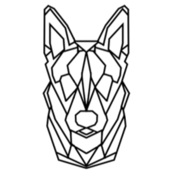 huskyprops